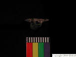L_V20d4024 A16q63.1 R827 dM la f49
